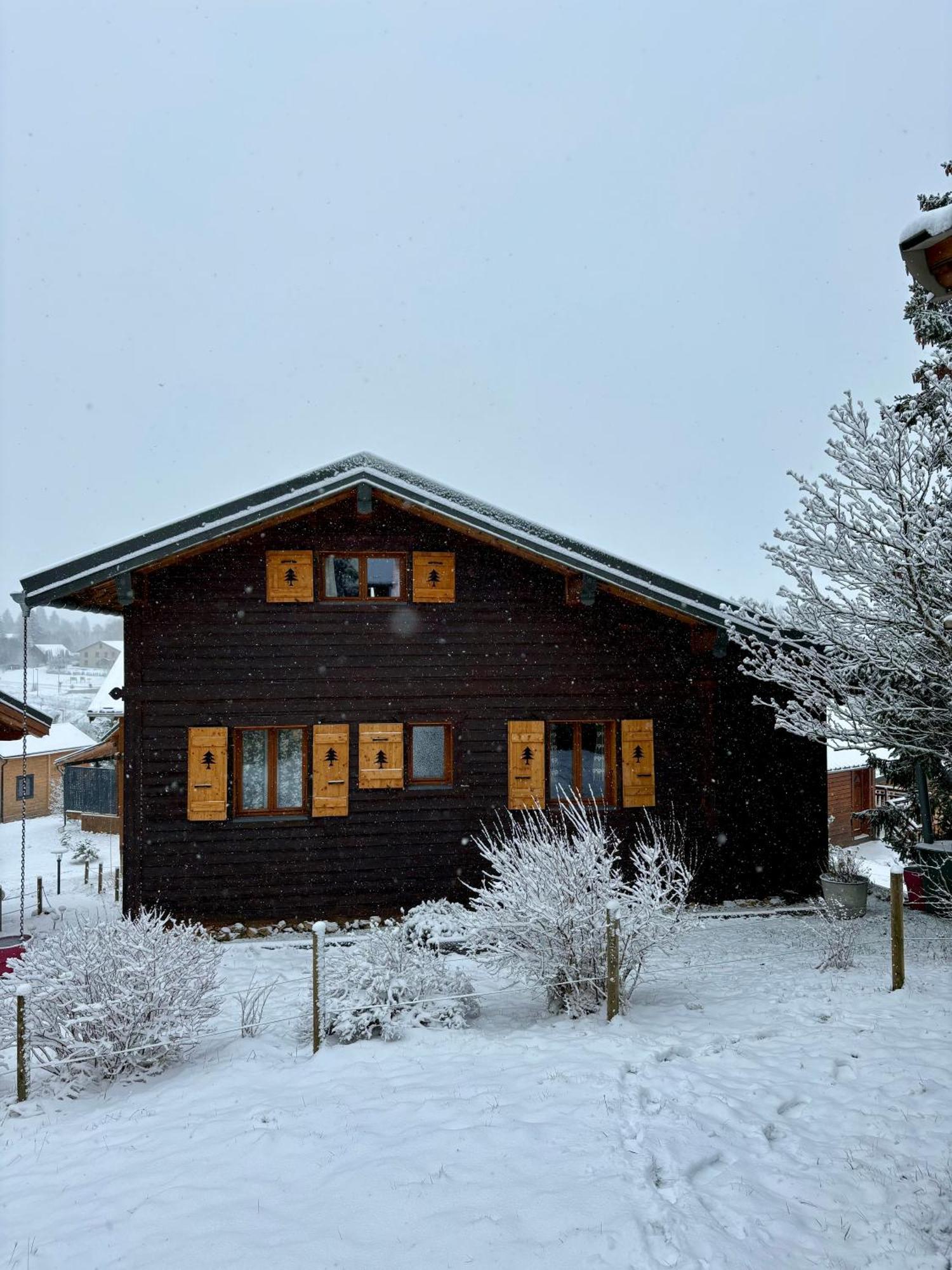 Chalet L'Embellie - Chalet Avec Piscine Partagee Saint-Laurent-en-Grandvaux Exterior photo